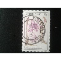 Зимбабве, 1993. Орхидея