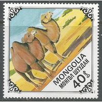 Монголия. Верблюды. 1978г. Mi#1187.