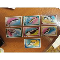 1990 Монголия фауна моря полная серия (4-7)