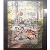 Центральная Африка. 2013 год. Флора. Грибы. Блок (1012)