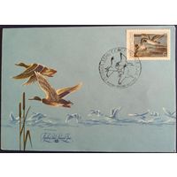 КПД с спецгашением. Утки. 1990 г.
