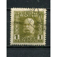 Босния и Герцеговина (Австро-венгерская администрация) - 1912/1914 - Кайзер Франц Иосиф I 1H - [Mi.64] - 1 марка. Гашеная.  (Лот 7JC)-TG3P59