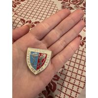 Аптека музей Львов 1735 ЗНАЧОК С РУБЛЯ