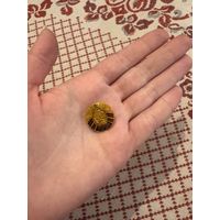 Герб республика БЕЛАРУСЬ ЗНАЧОК С РУБЛЯ