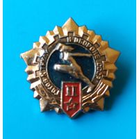 ГТО 2 степень.