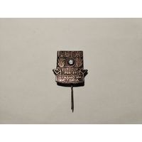 ФК Динамо Минск-Виктория