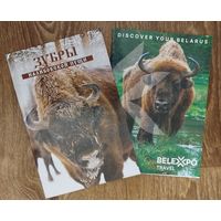 Зубры Налибокской пущи.