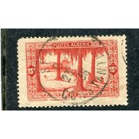 Французский Алжир. Туггурт. 15с