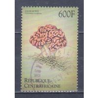 [1688] ЦАР 1999. Грибы. Концовка серии.Гашеная марка.