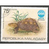 Республика Мадагаскар. Международная выставка EXPO'75. Черепаха. 1975г. Mi#760.