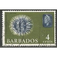 Барбадос. Кораллы. 1965г. Mi#235.