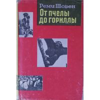 От пчелы до гориллы. 1965 г.  Будет интересно и детям, и взрослым