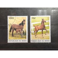 Бенин. 1996 год. Фауна. Лошади (108)