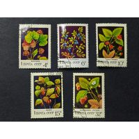 1982 СССР. Дикие ягоды. Полная серия