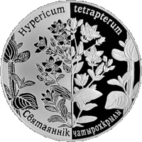 Святаяннік чатырохкрылы (Зверобой четырехкрылый). Адроджаныя расліны (Возрожденные растения). 1 рубель