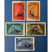 1968 СССР. Коневодство и конный спорт в СССР. Полная серия