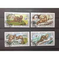 Распродажа с 1 рубля! Фауна. Монголия. 1986 год. Пушные звери (4 марки)