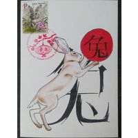 Беларусь 2023 КМ Год труса, тираж 40 экз .