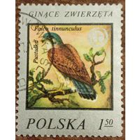 Польша 1977. Обыкновенная пустельга