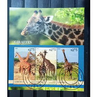 ЛИСТ ФАУНА жирафы  СТО