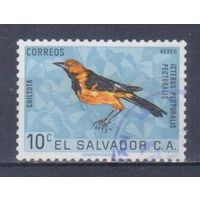 [1862] Сальвадор 1963. Фауна.Птицы.Трупиал. Гашеная марка.