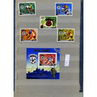 КНДР, 1981, СПОРТ, ФУТБОЛ,  серия6м +ПОЧТ БЛ, гашен