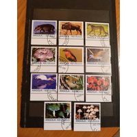 Ангола фауна флора грибы птицы (3-9)