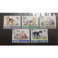 Корея. 1991 год. Фауна. Кошки (740)