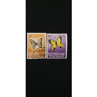 Того бабочки 2шт