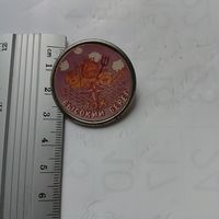 Значок ТЭК Высокий берег. Столбцы