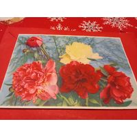 Телеграмма 1972г.