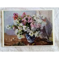 Цветкова. Флоксы