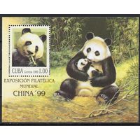 Куба 1999. Фауна панда. Блок (4199)