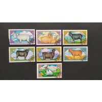 Лот 10 разные марки