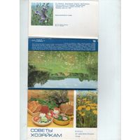 Блюда из дикорастущих трав. Советы хозяйкам. 15 штук. Комплект. 1985