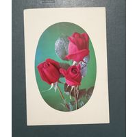 Открытка "Поздравляем!"  фото Г.Костенко  1975г. чистая