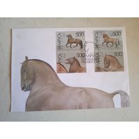 Кпд беларусь лошади