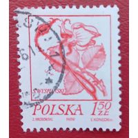 Польша, 1974 г., стандартный выпуск, цветы