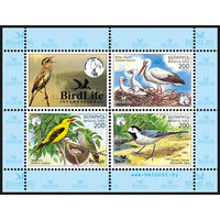 Марка "Блок N 31 Птица года Беларуси (3х200)"