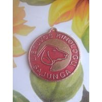 Собачий жетон