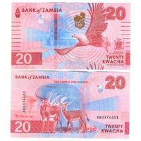 Замбия 20 квача 2024 год UNC  НОВИНКА