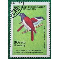 Мадагаскар 1986. Птицы. Синий ванга