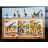 ЛИСТ ФАУНА жирафы  СТО