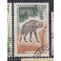 Животные гиена фауна Мавритания  1963 год лот  10