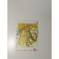 Австралия год 1990.  Золотая акация (Golden Wattle, Acacia pycnantha).