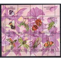 Киргизия 2004. Насекомые. Жуки. Фауна. Малый лист (144)