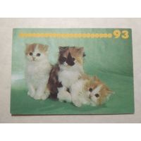 Карманный календарик. Котик.1993 год