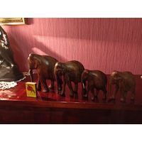 Слоны африканские