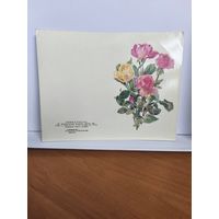 Открытка двойная, чистая, 1983г. Поздравляем! Художник И. Кирпичные. 14