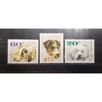 Польша. 1968 год. Фауна. Собаки (590)